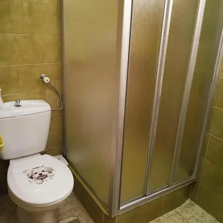 Vizhaz 鲍洛通费尼韦什