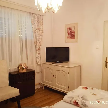 Vizhaz Apartment