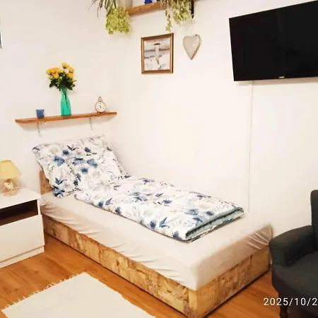 公寓 Vizhaz 鲍洛通费尼韦什