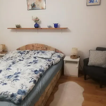 Vizhaz * 鲍洛通费尼韦什