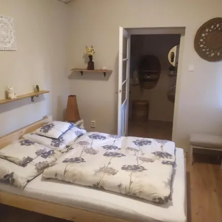 公寓 Vizhaz 鲍洛通费尼韦什