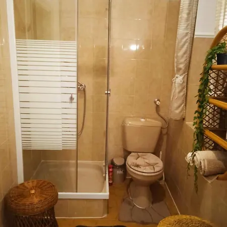 Vizhaz * 鲍洛通费尼韦什