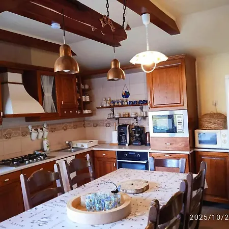 Vizhaz * 鲍洛通费尼韦什