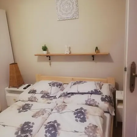 Apartment Vizhaz