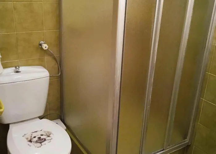 Vizhaz Balatonfenyves