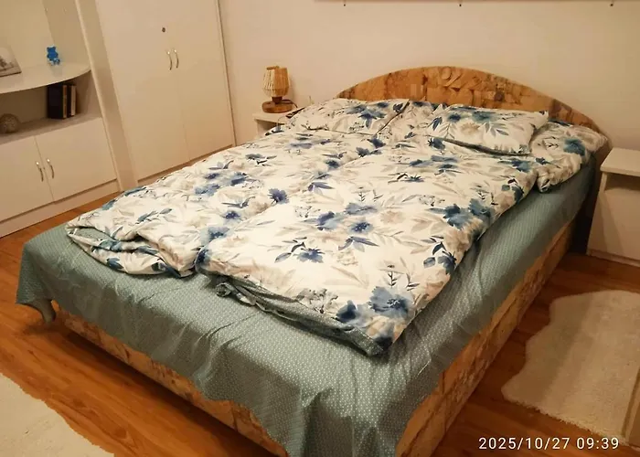 Vizhaz Lägenhet Balatonfenyves