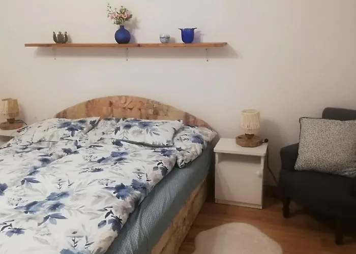 Vizhaz * Balatonfenyves